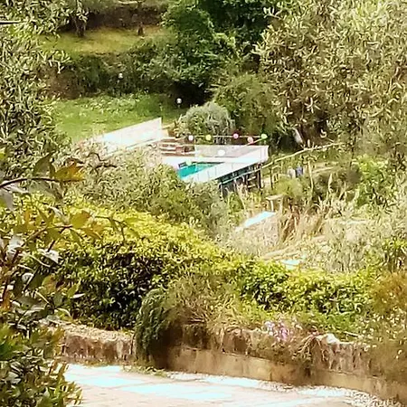 Villa Cornice Di Portofino E Piscina Zoagli